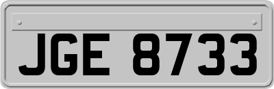 JGE8733
