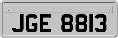 JGE8813