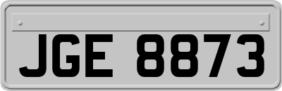 JGE8873
