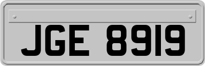 JGE8919