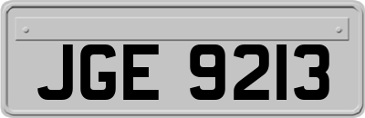 JGE9213