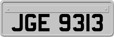 JGE9313