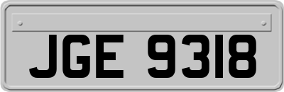 JGE9318