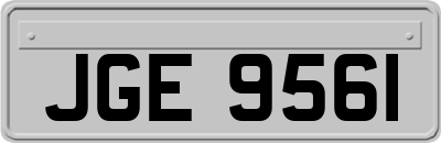 JGE9561