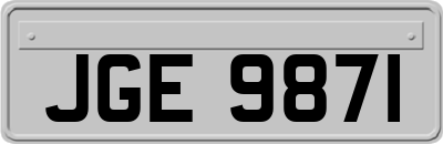 JGE9871