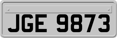 JGE9873