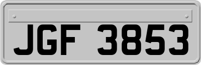 JGF3853