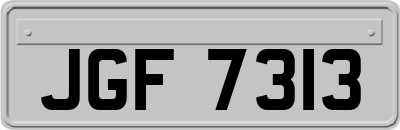 JGF7313