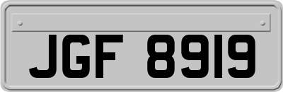 JGF8919
