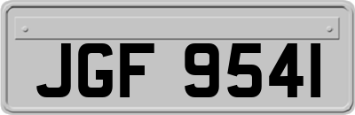 JGF9541