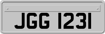 JGG1231