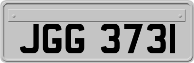 JGG3731