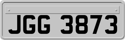 JGG3873