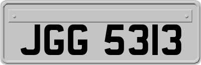 JGG5313