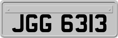 JGG6313