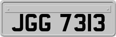 JGG7313