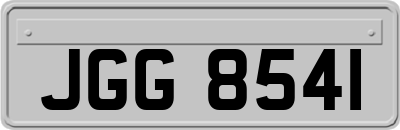 JGG8541