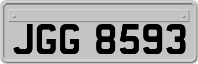 JGG8593