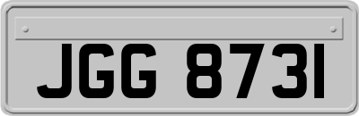 JGG8731