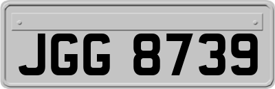 JGG8739