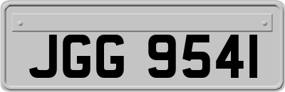 JGG9541
