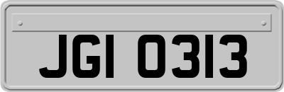 JGI0313