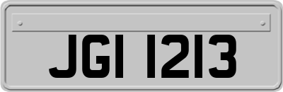 JGI1213