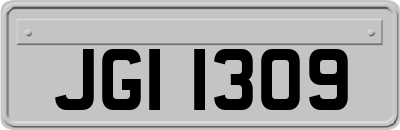 JGI1309