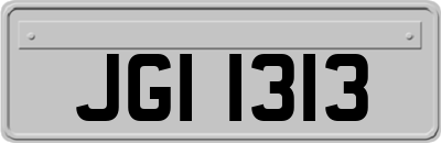 JGI1313