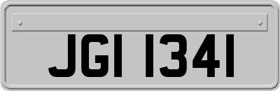 JGI1341