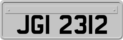 JGI2312
