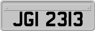 JGI2313