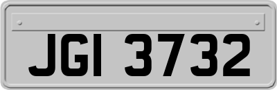 JGI3732