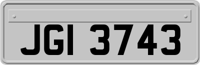 JGI3743