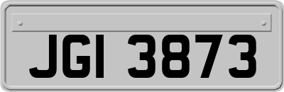 JGI3873
