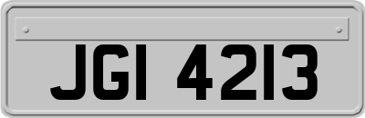 JGI4213