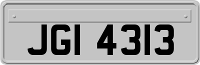 JGI4313
