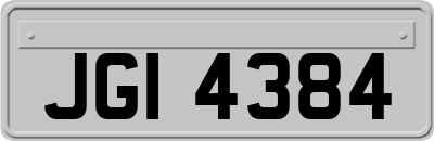 JGI4384