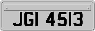 JGI4513