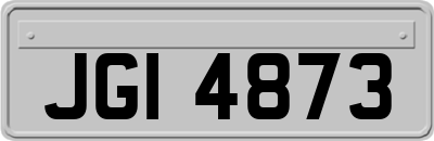 JGI4873