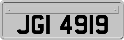 JGI4919