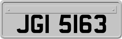 JGI5163