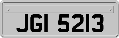 JGI5213