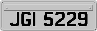 JGI5229