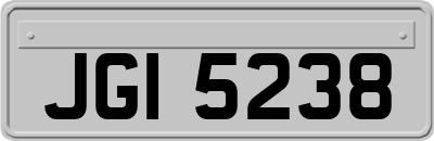 JGI5238