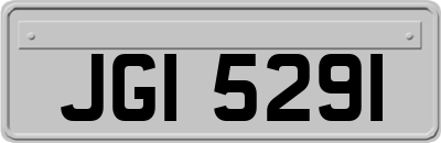 JGI5291