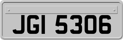 JGI5306