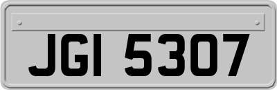 JGI5307