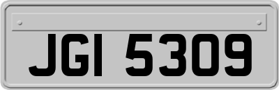 JGI5309