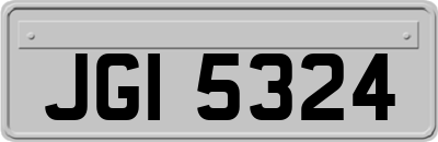 JGI5324